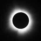 The solar eclipse during totality, seen from Indianapolis, Indiana