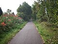 In Achel werd op de spoorwegbedding een fietspad aangelegd