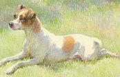 Queen Victoria's dog Spot, by F. C. Fairman