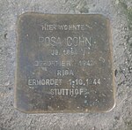 Stolperstein für Rosa Cohn