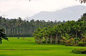 Wayanad