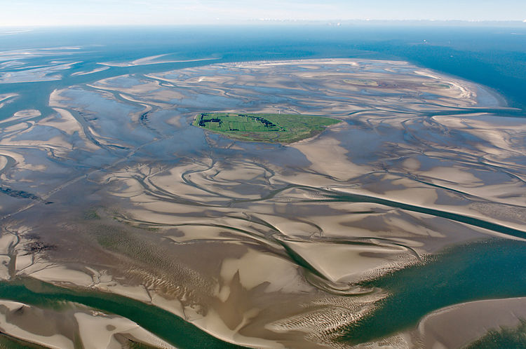 Национальный парк «Гамбургское Ваттовое море» (Германия)