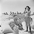 Image 81British infantry near El Alamein, 17 July 1942 (from Egypt)
