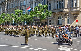 Parade civile et militaire lors de la Fête nationale du Luxembourg, le 23 juin 2016.