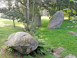 Image illustrative de l’article Menhirs de Tingoff