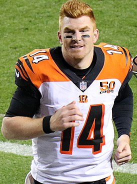 Andy Dalton, 2017