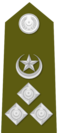 Insignia Of Deputy Inspector General of Punjab Police