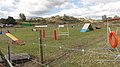 Concours de l'obéissance canine