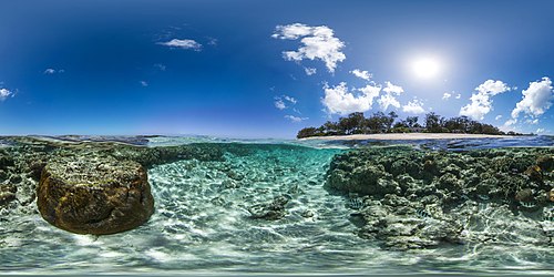 Lady Elliot Island