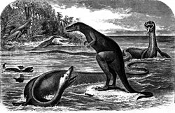 In this drawing there is a snake-like dinosaur. Its flippers are upside-down. It is in shallow water with and another snake-like dinosaur and a dinosaur shaped like a kangaroo standing on a coral reef and a vulture trying to swim. There is an island in the upper left corner with dinosaurs on it and giant ferns on it.