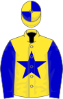 Yellow, blue star and sleeves, quartered cap