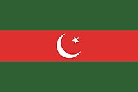 Pakistan Tehreek-e-Insaf Parlimentarians Flag