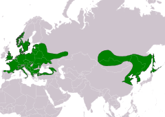 Distribución de Poecile palustris