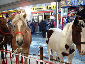 Image illustrative de l’article Foire annuelle d'Hautem