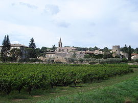 A general view of Saint-Michel-d'Euzet