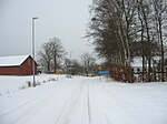 Värpinge i snö