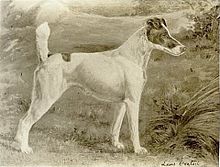 "A greyscale drawing of a pale colored dog with dark markings on the head and a spot on its back."