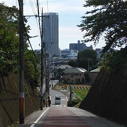 柴崎、原山通り