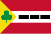 Flag of Appelscha