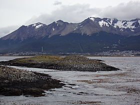 Fauna de la región en el primer plano en la Bahía de Ushuaia; al fondo la ciudad.