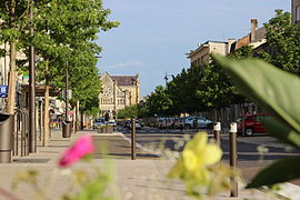 Vue sur une rue bordée d'arbres et d'immeubles. Fleurs au premier plan, et église au fond.