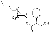 Image illustrative de l’article Butylscopolamine