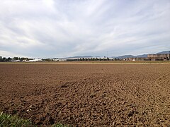 El color barbecho de la tierra para cultivo.