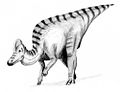 Corythosaurus perspective view