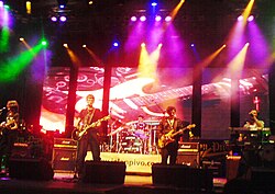 Električni Orgazam performing at the Jelen Pivo Live festival in 2008