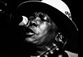 22 août 2012 John Lee Hooker aurait eu 95 ans aujourd'hui.