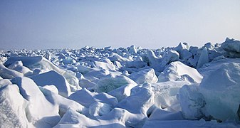 Blocs de glace sur la banquise.