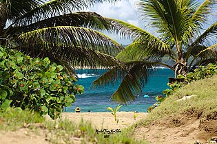 View of beach at Villa Pesquera in Membrillo