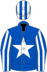 Royal blue, white star, striped sleeves and cap