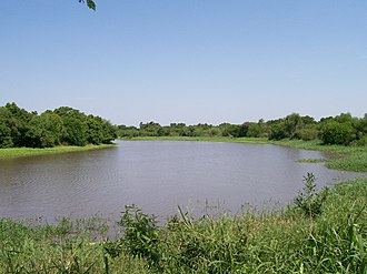 Negro river