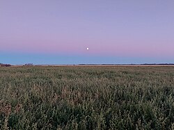 Moonrise over a field near Carlyle