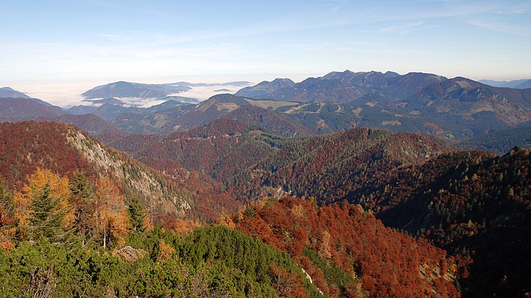 Reichraminger Hintergebirge von Tigerente