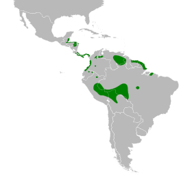 Distribución geográfica del semillero pizarroso.