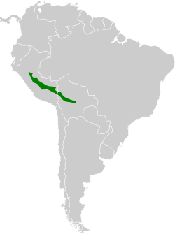 Distribución geográfica del pijuí de Cabanis.