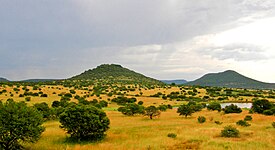 Savana perto de Pietermaritzburg.