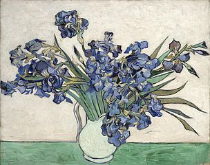Irises by Vincent van Gogh (1890)