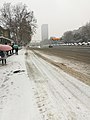 新模范马路雪景