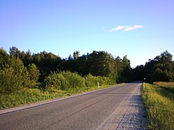 The Green Forest (Žalioji giria)