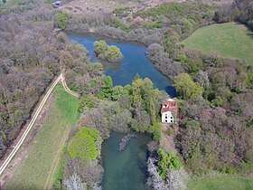 Le moulin et ses étangs, volontairement remis à l'état sauvage.