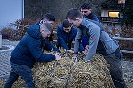 Stopfen und Binden des Rades