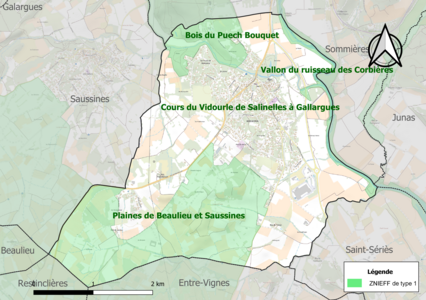 Carte des ZNIEFF de type 1 sur la commune.