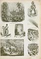 Image 20An illustration of brewing and distilling industry methods in England, 1858 (from Liquor)