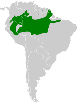 Distribución geográfica del trepatroncos gorgipunteado.