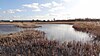 Crossness Nature Reserve