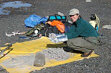 Cynthia Gardner examines rock samples at Mount St. Helens