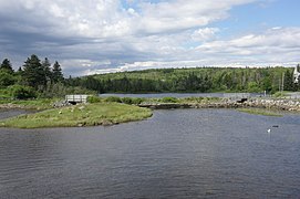 Jeddore Oyster Ponds